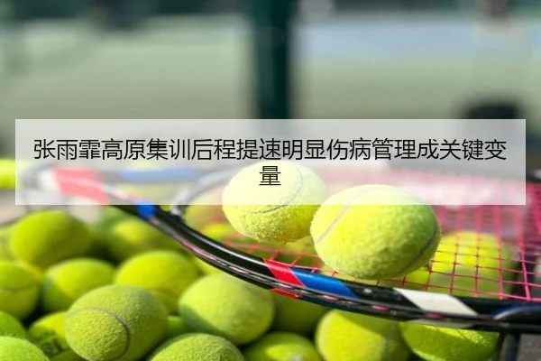 张雨霏高原集训后程提速明显伤病管理成关键变量
