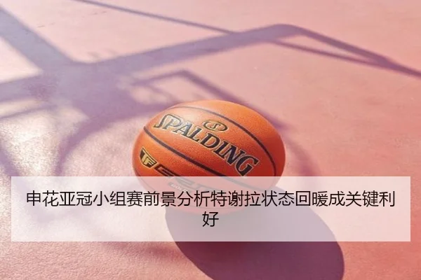 申花亚冠小组赛前景分析特谢拉状态回暖成关键利好